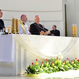 Kraków - Koronka