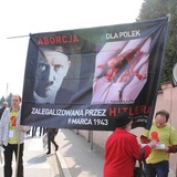 Niedziela Miłosierdzia w Łagiewnikach - 2015. Cz. 2