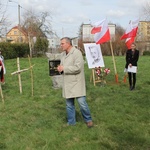 Dąb pamięci płk. Andrzeja Hałacińskiego ma 5 lat