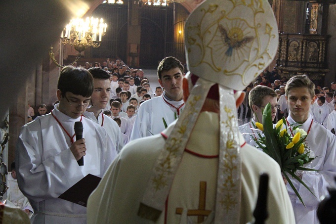 Ustanowienie lektorów i ceremoniarzy