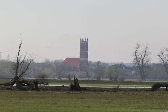Rezerwat "Ujście Warty"