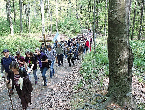  Trasa nie jest bardzo wymagająca i radzą sobie z nią nawet najmłodsi. Pielgrzymka to wspaniała okazja do rodzinnego spędzenia wolnego dnia