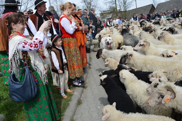 Święto Bacowskie w Ludźmierzu