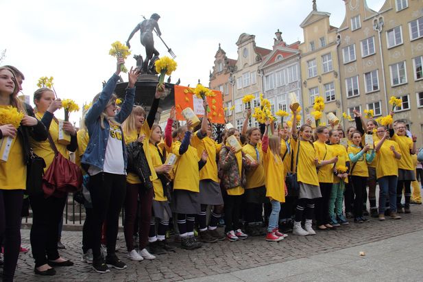 Finał Pól Nadziei 2015