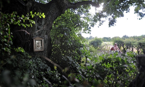 Nabożeństwa majowe - znaczenie, tradycja i współczesność