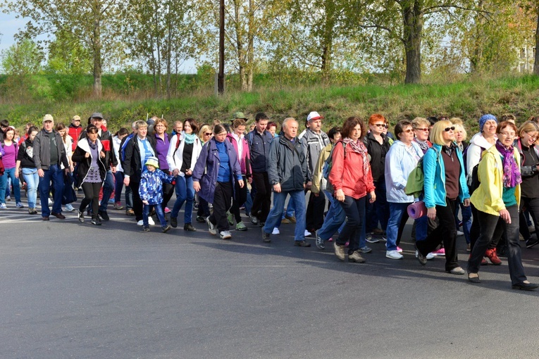 1 maja - Świdnica - Gogołów