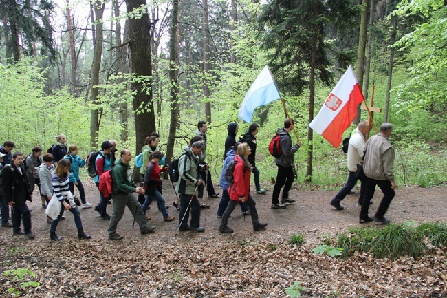 Chwalcie górę umajoną - Majówka na Ślężę