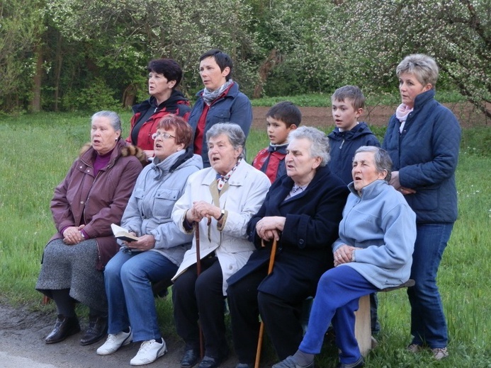 Majówka w Bogoniowicach