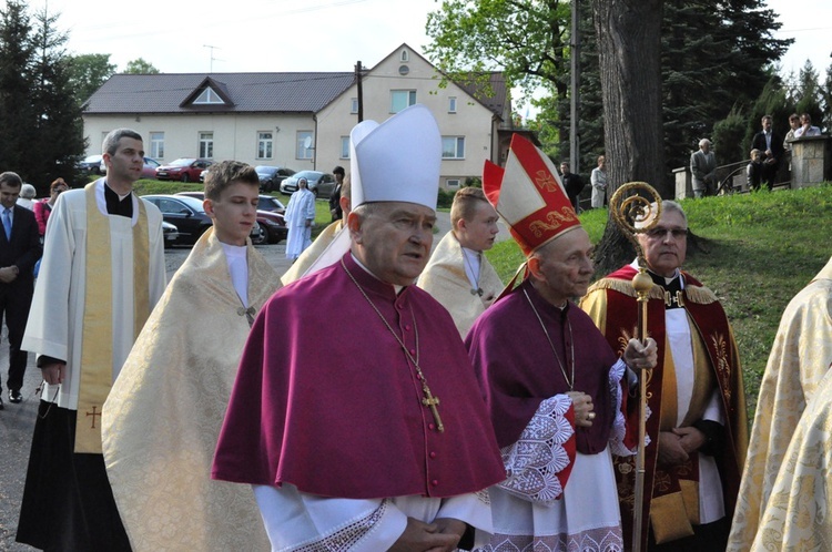 Nawiedzenie w Pleśnej