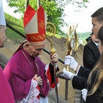 Nawiedzenie w Pleśnej