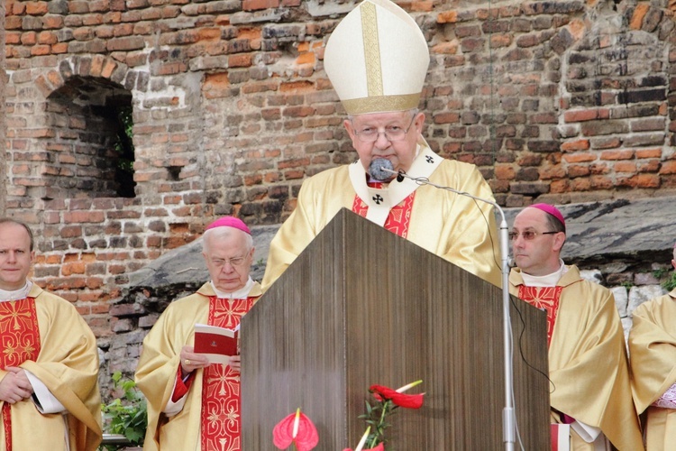 Procesja ku czci św. Stanisława z Wawelu na Skałkę cz. 2