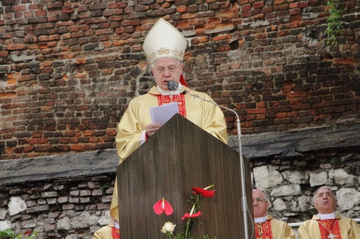 Procesja ku czci św. Stanisława z Wawelu na Skałkę cz. 2