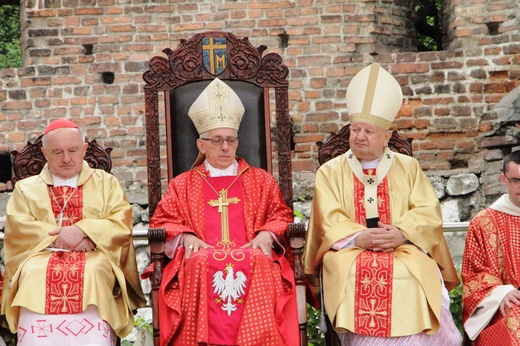 Procesja ku czci św. Stanisława z Wawelu na Skałkę cz. 2