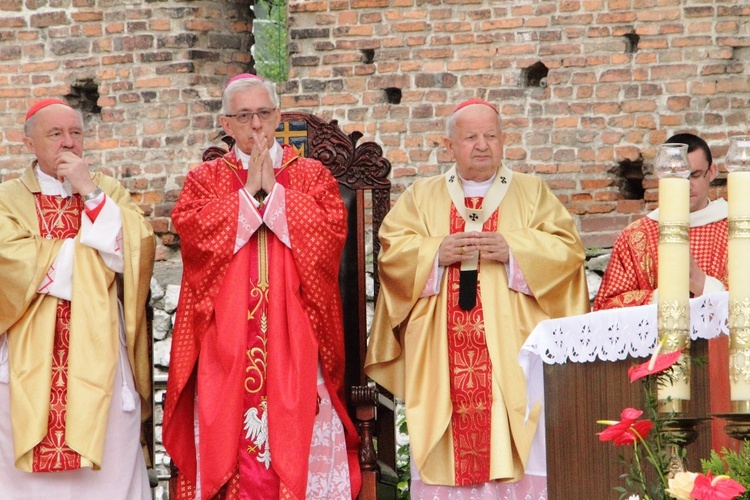 Procesja ku czci św. Stanisława z Wawelu na Skałkę cz. 2