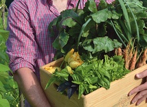 Warzywa ekologiczne to wizytówka stowarzyszenia. Na zdjęciu Jan Czaja, prezes 