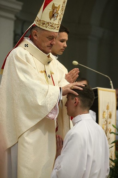 12 nowych diakonów