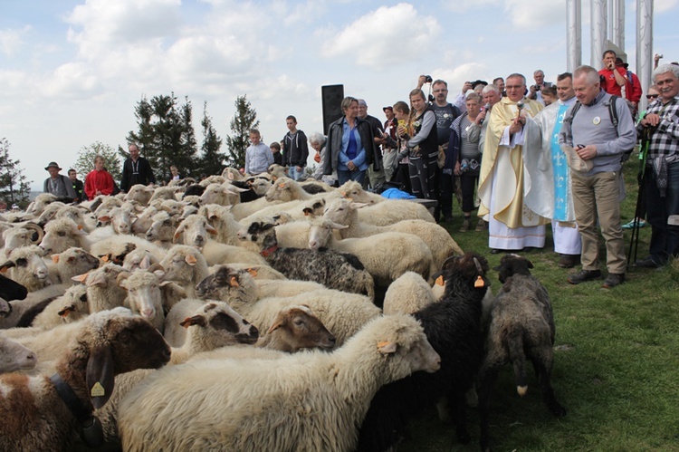 VII Rajd "Szlakami św. Jana Pawła"  na Bendoszkę - cz. 2