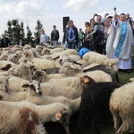 VII Rajd "Szlakami św. Jana Pawła"  na Bendoszkę - cz. 2