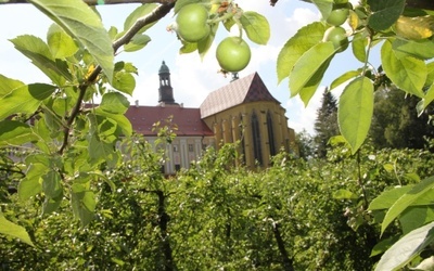 Zielone Święta wśród zieleni