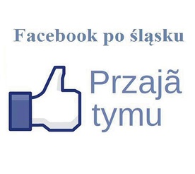  Śląski Facebook. Lubię to?