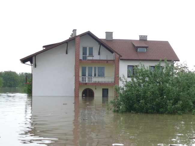 Ogrom zniszczeń 