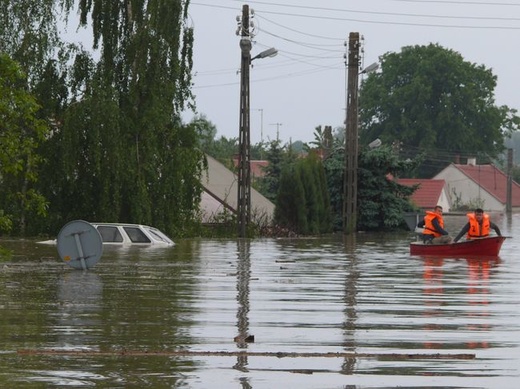 Ogrom zniszczeń 