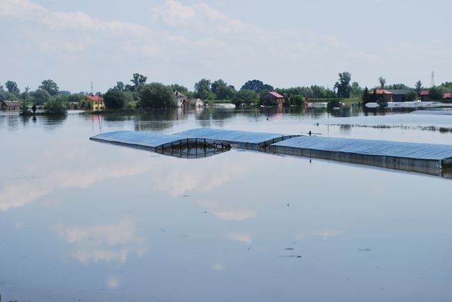 Ogrom zniszczeń 