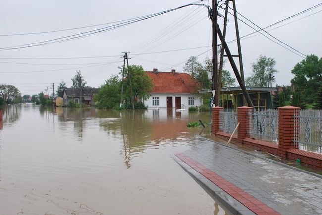 Ogrom zniszczeń 