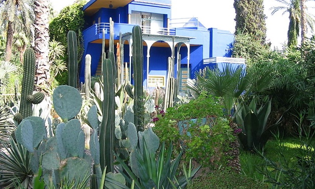  Majorelle