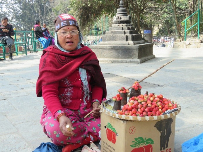 Nepal i Nepalczycy w lutym 2015 r.