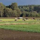 Rośnie eksport polskiej żywności  