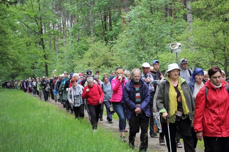 360. Łowicka Piesza Pielgrzymka na Jasną Górę, cz. II