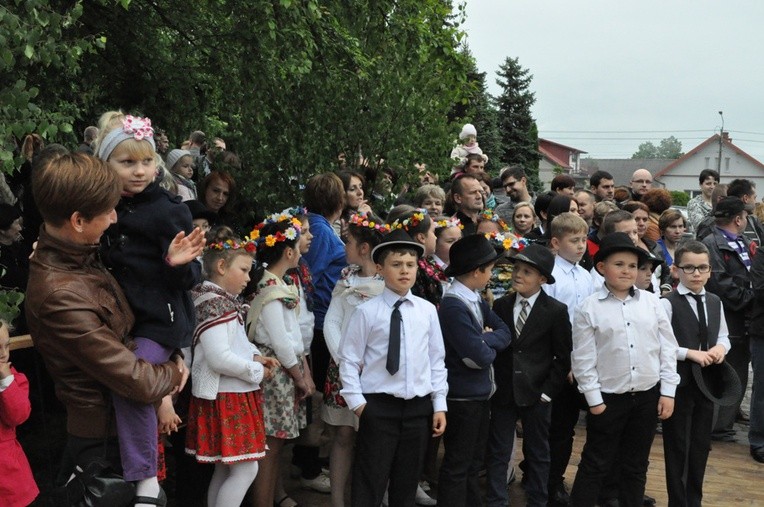 V Festyn w Luszowicach