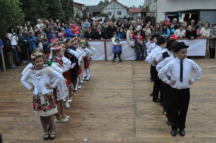 V Festyn w Luszowicach