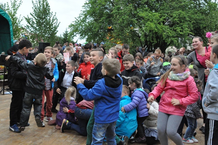 V Festyn w Luszowicach