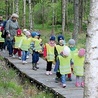  Grupa przedszkolaków na spacerze