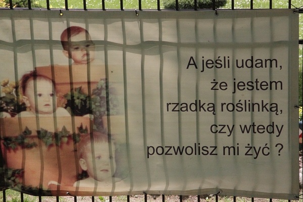 Pod opieką bł. Gwidona