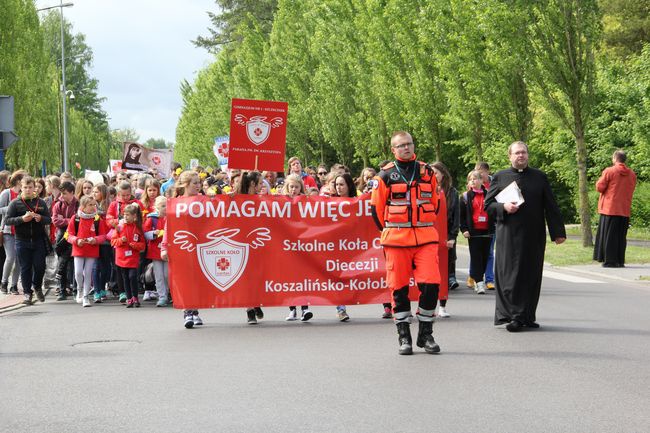 Diecezjalne spotkanie wolontariuszy Szkolnych Kół Caritas