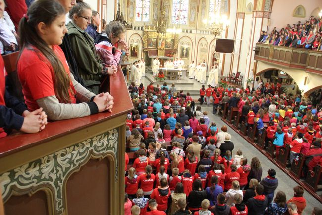 Diecezjalne spotkanie wolontariuszy Szkolnych Kół Caritas