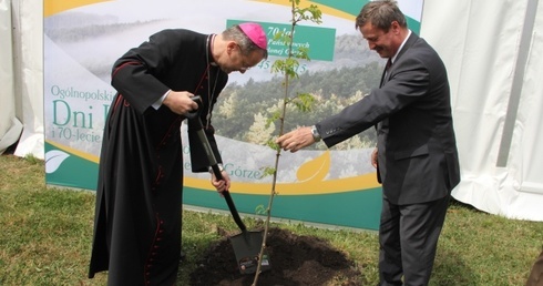 Strażnicy wielkiego skarbu