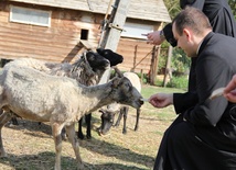 Znam owce moje, a moje Mnie znają