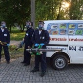 W Lublinie trwa zwalczanie komarów