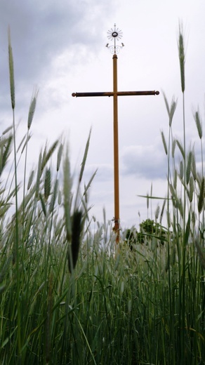 Przydrożne krzyże i figury Chrystusa