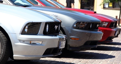 Niepołomicki zlot mustangów