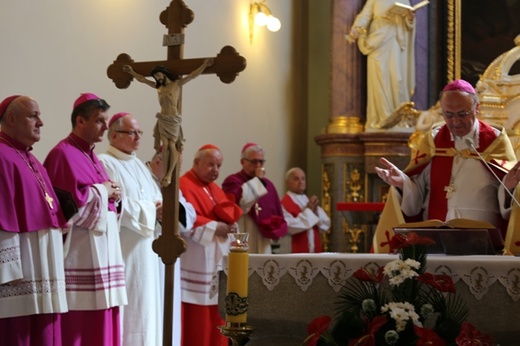 Procesja z relikwiami św. Jana Sarkandra