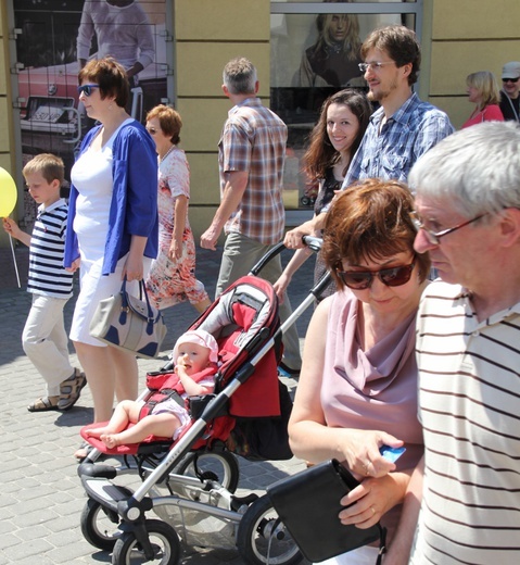 IV Marsz dla Życia i Rodziny - Wodzisław Śl. 2015