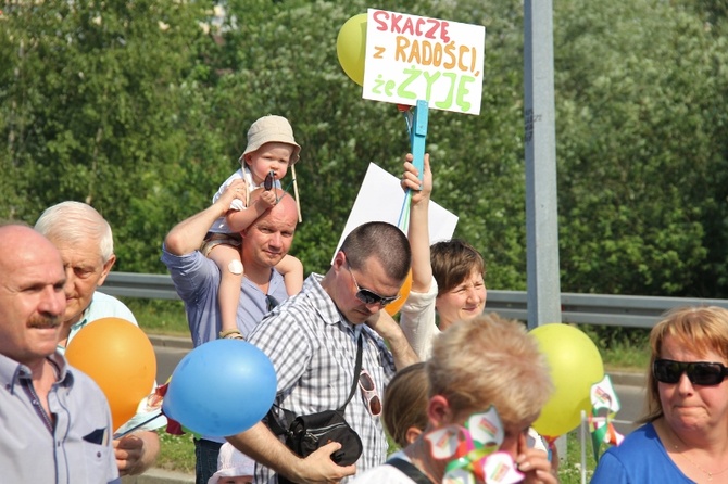 Marsz dla Życia i Rodziny - Jastrzębie 2015 - cz. II