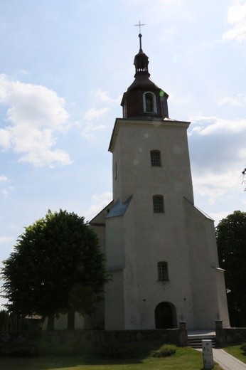 Rybitwy