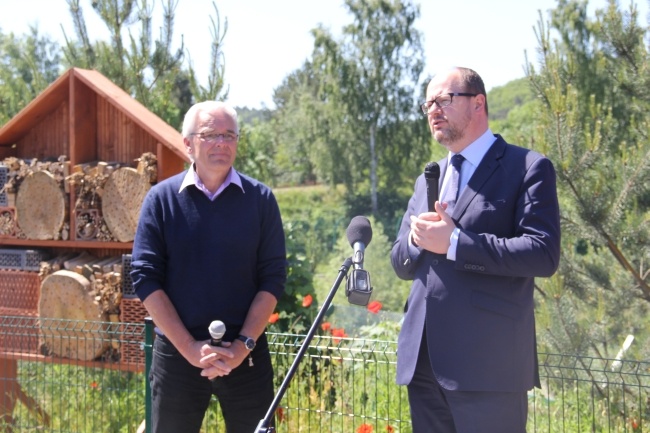 Lwice z gdańskiego ZOO są w ciąży 