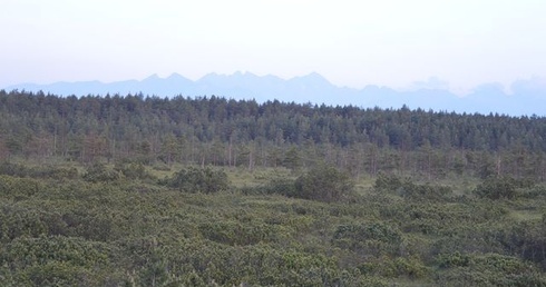 Rezerwat, jakich mało
